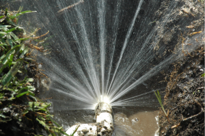 Cracked delivery link before a sprinkler repair in Everett, WA