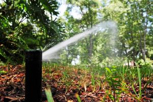 Pop up sprinkler head installed in Everett, Washington