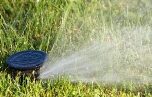 we work on all makes and models of sprinkler heads